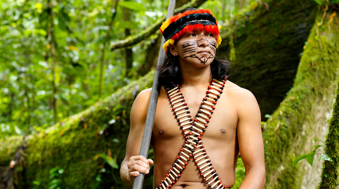Veille  Soutenez l’appel des Indiens d’Amazonie à l’ONU