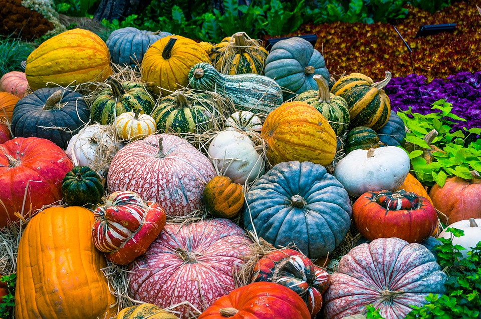 Association des Amis des Jardins Partagés Solidaires, initiateur du projet de jardins partagés de Cluses