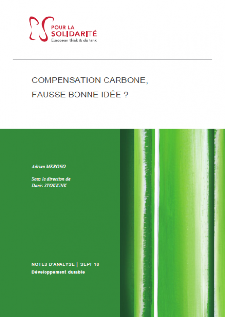 Veille  Compensation carbone, fausse bonne idée ?