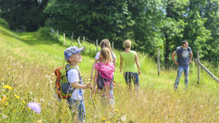 Veille  Alerte, les autorités veulent ouvrir la chasse en été en Haute Savoie