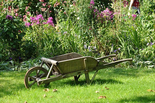 Veille Parce qu’on ne peut pas être toujours au potager !