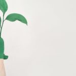 Environnement