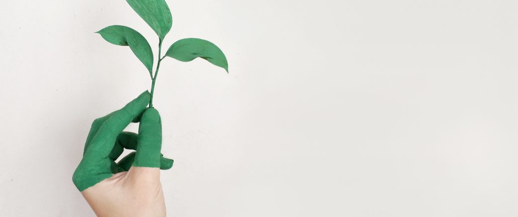 Veille  La biodiversité est bonne pour la santé