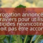 Actions
