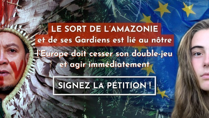 Veille Le sort de l’Amazonie est lié au nôtre : l’Europe doit agir…