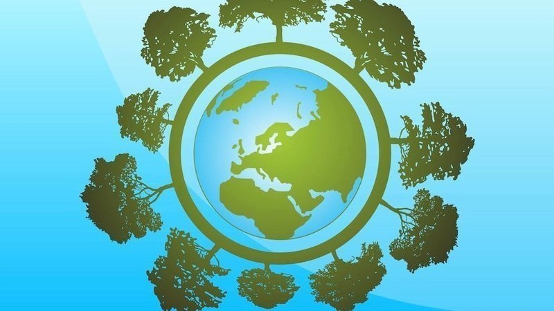 Veille   L’Art et l’Arbre pour la protection de la vie