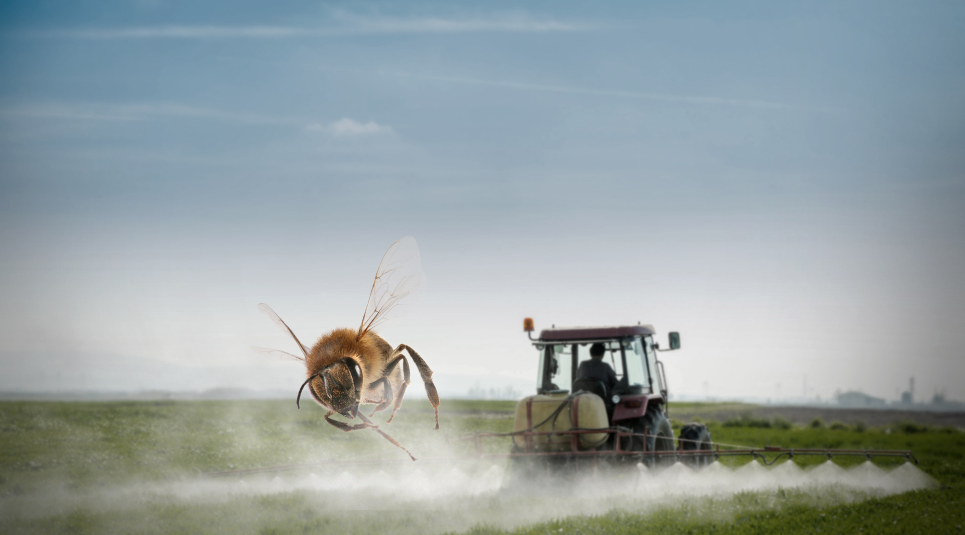 Veille   Initiative Citoyenne Européenne : Sauvons les abeilles et les agriculteurs!