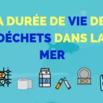 Environnement