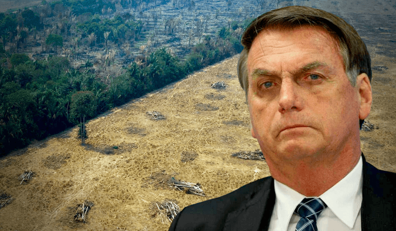 Veille   Arrêtons Bolsonaro: Mettons fin aux crimes contre la nature
