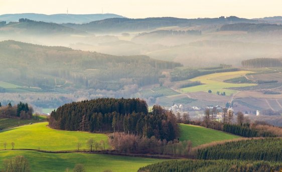 Veille  Environnement : Comprendre et agir