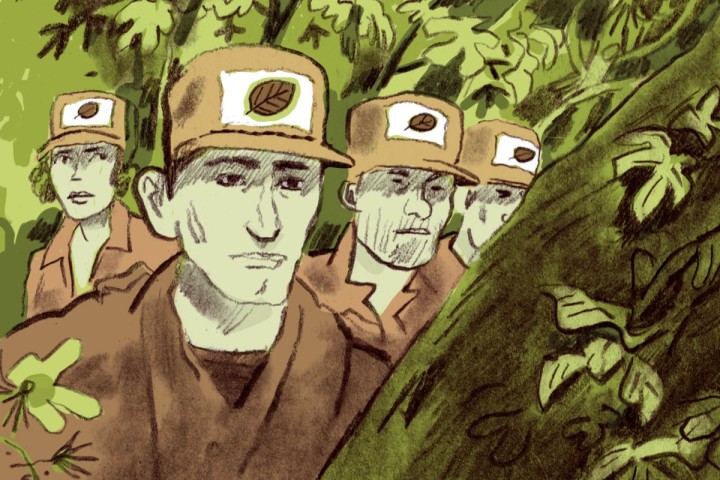 Veille       Enquête sur l’écofascisme : comment l’extrême droite veut récupérer l’écologie