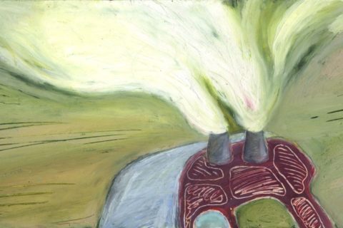 Veille    Le nucléaire n’est pas bon pour le climat