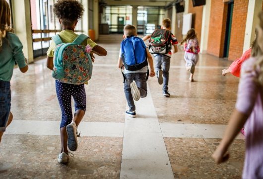 Veille   Les inégalités sociales, de l’école primaire à la fin du collège